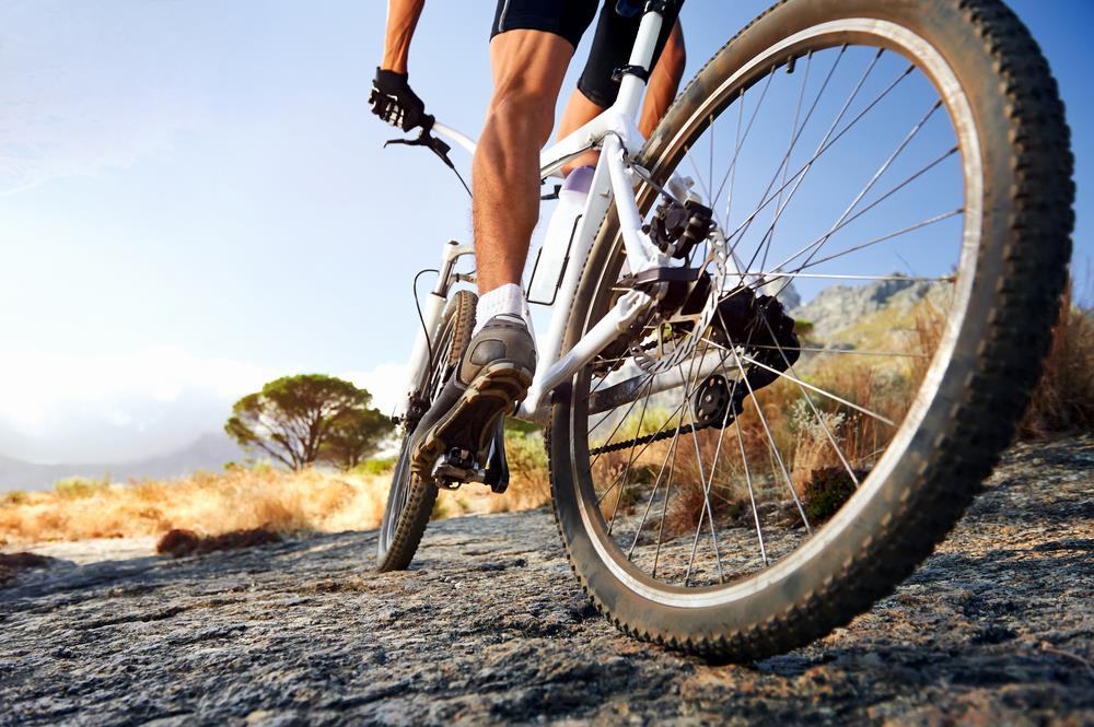 cyclist riding mountain bike across rough terrain